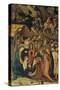 Scenes from the Nativity of Jesus Christ-null-Stretched Canvas