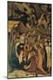 Scenes from the Nativity of Jesus Christ-null-Mounted Giclee Print