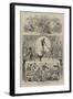 Scenes from the Pantomimes-David Henry Friston-Framed Giclee Print