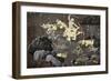 Scenes from the Ramayana-null-Framed Giclee Print