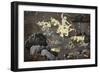 Scenes from the Ramayana-null-Framed Giclee Print