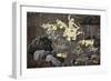 Scenes from the Ramayana-null-Framed Giclee Print