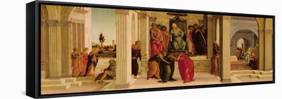 Scenes from the Story of Esther (Oil on Panel)-Filippino Lippi-Framed Stretched Canvas