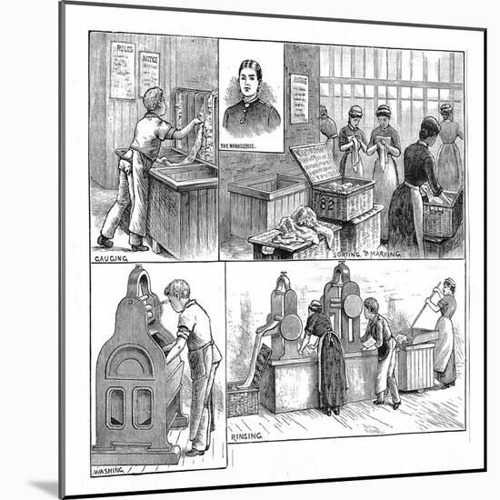 Scenes in a Laundry, 1884-null-Mounted Giclee Print