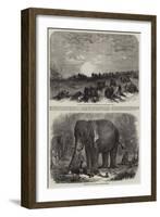 Scenes in India-null-Framed Giclee Print