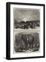 Scenes in India-null-Framed Giclee Print