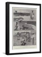 Scenes in Sierra Leone, with Captain Carleton's Column to Falaba-Henry Charles Seppings Wright-Framed Giclee Print