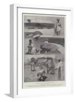 Scenes in Sierra Leone, with Captain Carleton's Column to Falaba-Henry Charles Seppings Wright-Framed Giclee Print