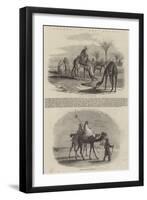 Scenes in the Desert-null-Framed Giclee Print