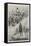 Scenes in the Life of Louis Kossuth-null-Framed Stretched Canvas