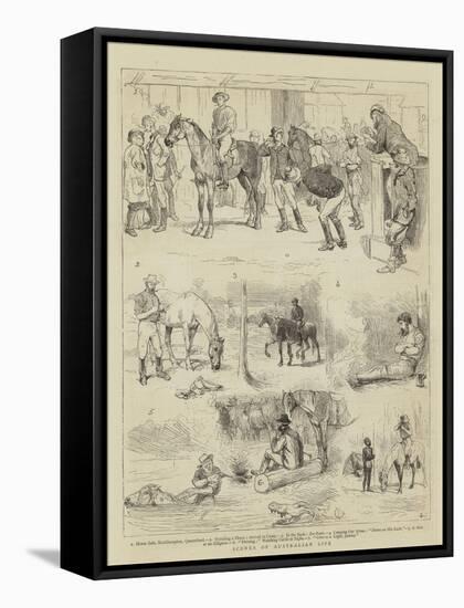 Scenes of Australian Life-Alfred Chantrey Corbould-Framed Stretched Canvas