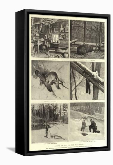 Scenes of Life in the Backwoods-null-Framed Stretched Canvas