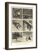 Scenes of Life in the Backwoods-null-Framed Giclee Print