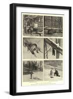 Scenes of Life in the Backwoods-null-Framed Giclee Print