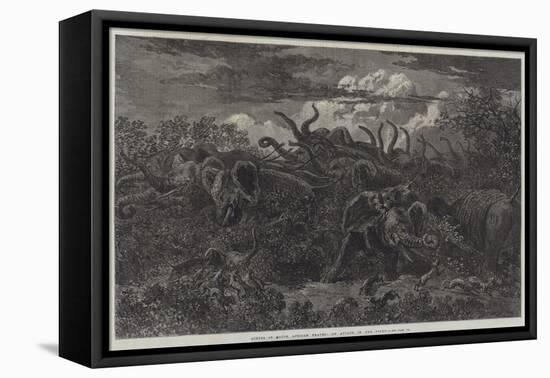 Scenes of South African Travel, an Attack in the Night-William James Linton-Framed Stretched Canvas