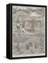 Scenes on the Congo, Africa-Charles Edwin Fripp-Framed Stretched Canvas