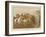 Scenes with the Old Mickledale Hunt-null-Framed Giclee Print