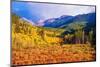 Scenic Aspen Lanscape-duallogic-Mounted Photographic Print