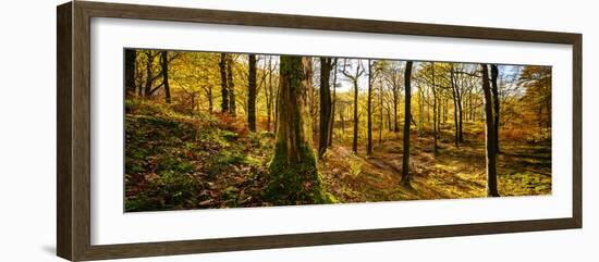 Scenic autumn forest, Grasmere, Lake District, Cumbria, England, United Kingdom-Panoramic Images-Framed Photographic Print