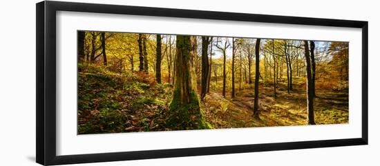 Scenic autumn forest, Grasmere, Lake District, Cumbria, England, United Kingdom-Panoramic Images-Framed Photographic Print