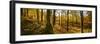 Scenic autumn forest, Grasmere, Lake District, Cumbria, England, United Kingdom-Panoramic Images-Framed Photographic Print