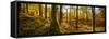 Scenic autumn forest, Grasmere, Lake District, Cumbria, England, United Kingdom-Panoramic Images-Framed Stretched Canvas