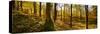 Scenic autumn forest, Grasmere, Lake District, Cumbria, England, United Kingdom-Panoramic Images-Stretched Canvas