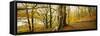Scenic autumn forest, Grasmere, Lake District, Cumbria, England, United Kingdom-Panoramic Images-Framed Stretched Canvas