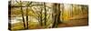 Scenic autumn forest, Grasmere, Lake District, Cumbria, England, United Kingdom-Panoramic Images-Stretched Canvas