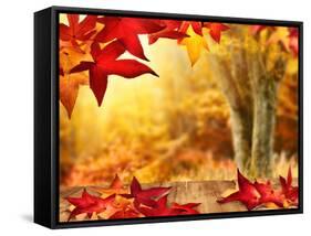 Scenic Autumnal View-Smileus-Framed Stretched Canvas