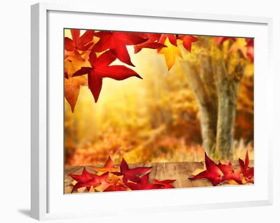 Scenic Autumnal View-Smileus-Framed Photographic Print