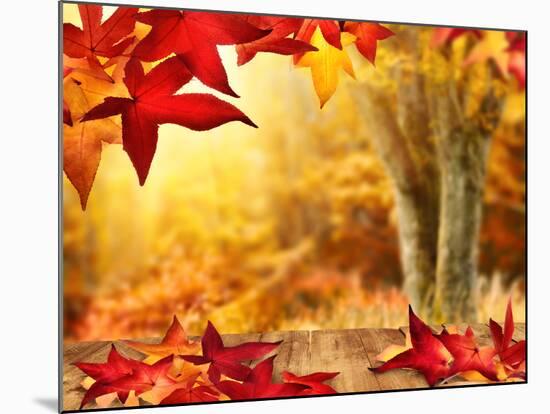 Scenic Autumnal View-Smileus-Mounted Photographic Print