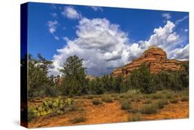 Scenic Backcountry of Sedona, AZ-Andrew Shoemaker-Stretched Canvas