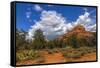 Scenic Backcountry of Sedona, AZ-Andrew Shoemaker-Framed Stretched Canvas