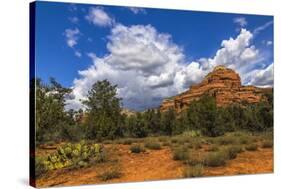 Scenic Backcountry of Sedona, AZ-Andrew Shoemaker-Stretched Canvas