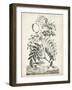 Scenic Botanical I-Abraham Munting-Framed Art Print