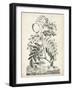 Scenic Botanical I-Abraham Munting-Framed Art Print