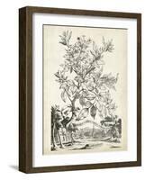 Scenic Botanical II-Abraham Munting-Framed Art Print