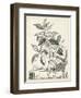 Scenic Botanical III-Abraham Munting-Framed Art Print