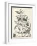 Scenic Botanical III-Abraham Munting-Framed Art Print