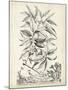 Scenic Botanical IV-Abraham Munting-Mounted Art Print