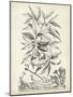 Scenic Botanical IV-Abraham Munting-Mounted Art Print