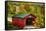 Scenic Covered Bridg, Arlington, Vermont-George Oze-Framed Stretched Canvas