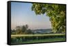 Scenic crop of barley, Vexin Region, Normandy, France-Lisa S. Engelbrecht-Framed Stretched Canvas