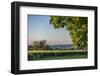 Scenic crop of barley, Vexin Region, Normandy, France-Lisa S. Engelbrecht-Framed Photographic Print