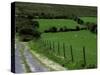 Scenic Dirt Road with Wildflowers, County Cork, Ireland-Marilyn Parver-Stretched Canvas