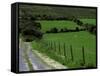 Scenic Dirt Road with Wildflowers, County Cork, Ireland-Marilyn Parver-Framed Stretched Canvas