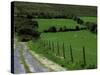 Scenic Dirt Road with Wildflowers, County Cork, Ireland-Marilyn Parver-Stretched Canvas