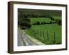 Scenic Dirt Road with Wildflowers, County Cork, Ireland-Marilyn Parver-Framed Photographic Print