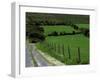 Scenic Dirt Road with Wildflowers, County Cork, Ireland-Marilyn Parver-Framed Photographic Print